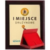 Tryumf Plastikinis diplomas su „colour touch“ laminatu ir dėklu HG2552+DĖKLAS/G