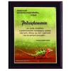 Tryumf Plastikinis diplomas su „colour touch“ laminatu HG2551/G