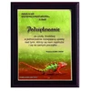 Tryumf Plastikinis diplomas su „colour touch“ laminatu HG2556/G