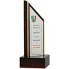 Tryumf Plastikinis trofėjus su graviravimu TROF1C-B/GR