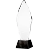 Tryumf Stiklinis graviruotas trofėjus H 31 cm C043-31/GR