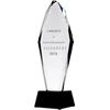 Tryumf Stiklinis graviruotas trofėjus H 31 cm C043-31/GR