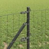 Tvora su stulpais Pilka 0,8 x 25 m Plienas
