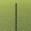 Suvirinto vielos tvoros 10 x 1,4 m (P x A) PVC dengtas plienas