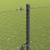 Pagrindo Suvirintas Vielos Tvora 10 x 1,6 m (Plotis x Aukštis)