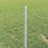 Hexagonal Fence with Post 25 x 0,4 m Galvanizuotas plienas