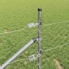 Tvorelės stulpas Sidabrinė
