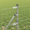 Pagrindo Suvirintas Vielos Tvora 10 x 0,6 m (P x A)