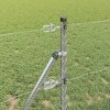 Tvorelės stulpas Sidabro