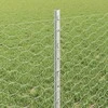 Hexagonal Fence with Post 25 x 0,6 m Galvanizuotas plienas