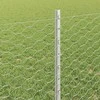Hexagonal Fence with Post 25 x 0,8 m Galvanizuotas plienas