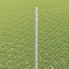 Hexagonal Fence with Post 25 x 1,4 m Galvanizuotas plienas