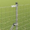 Pagrindo Suvirintas Vielos Tvora 10 x 1,6 m (Plotis x Aukštis)