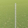 Hexagonal Fence with Post 25 x 1,6 m Galvanizuotas plienas