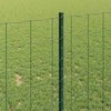 Euro tvoros su stulpu 25 x 1 m PVC dengtas plienas Žalia