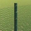 Hexagonal Fence with Post 10 x 1,2 m PVC dengtas plienas Žalia