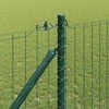 Suvirintas vielinis tvoras su smailiais galais