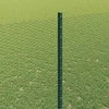 Hexagonal Fence with Post 25 x 1,6 m PVC dengtas plienas Žalia