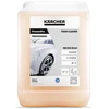 Karcher automobilių valiklis PressurePro Professional RM 838 direct; 3 l