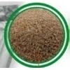 Vejų sėklos DLF Sun, 20 kg