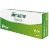 VETFOOD Amylactiv Balance – papildai šunims ir katėms – 60vnt.