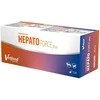 Gyvūnų papildas - Vetfood Hepato Force Plus 120vnt Be cukraus Be glitimo