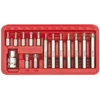 VOREL TORX sukimo antgalių rinkinys 15 vnt. 66580