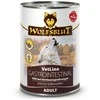 WOLFSBLUT VetLine Gastrointestinal antiena – drėgnas ėdalas šunims – 395g