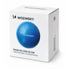 Wozinsky WPDP-N22 rehabilitation exercise ball 22cm - mėlynas