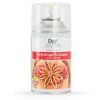XADO Domo Dry Aroma oro gaiviklis „Džiovintos uogos ir santalas“ dozatoriams, 250ml