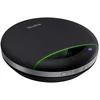 Ausinės Yealink SP96 USB-C/A