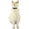 ZOLUX Chatouille juodas - cat collar