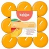 Žvakė, aromatinė Bolsius Mango, 4 h, 18 vnt., Oranžinė