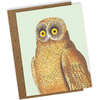30x40 60Mini atvirukas Mellow Owl (9.5x12.2)