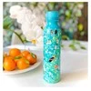 Pylones MAXI termosas BIRD