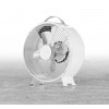 Ventiliatorius ETA | Fan | Ringo ETA060890000 | Table Fan | Metalic | Diameter 26 cm | Greičių skaičius 2 | 25 W