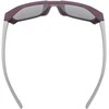 Akiniai Uvex cosmic cranberry-pilkas matt / mirror sidabrinis