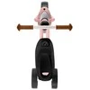 Balansinis dviratukas PUKY Pukymoto retro rose