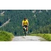 Balnelis Selle Royal Respiro Moderate RoyalGel