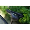Balnelis Selle Royal Respiro Moderate RoyalGel