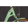 Dviratis Cube Aruba Easy Entry cactus'n'ruda 2026-49 cm (Dydis: 49 cm)