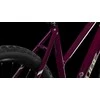 Dviratis Cube Nature ONE Trapeze amarone'n'lunar 2026-54 cm (Dydis: 54 cm)