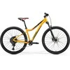 Dviratis Merida Matts 70 I1 oranžinis(red)-47 cm / L (Dydis: 47 cm / L)