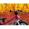 Dviratis PUKY CYKE 16-1 Alu berry-baltas