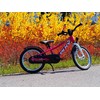 Dviratis PUKY CYKE 16-1 Alu berry-baltas