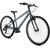 Dviratis PUKY LS-PRO 26-8 Alu ash mėlynas/anthracite