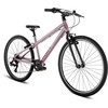 Dviratis PUKY LS-PRO 26-8 Alu pearl pink/anthracite