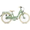 Dviratis PUKY Skyride 20-3 Classic Alu retro žalias