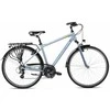 Dviratis Romet Wagant 0 2025 bright graphite-žalias-19" / M (Dydis: 19" / M)