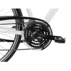 Dviratis Romet Wagant 1 2025 baltas-pilkas-21" / L (Dydis: 21" / L)